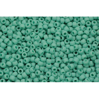 Бісер TR-11-55F 